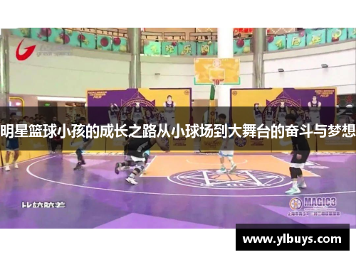 明星篮球小孩的成长之路从小球场到大舞台的奋斗与梦想