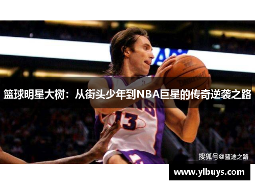 篮球明星大树：从街头少年到NBA巨星的传奇逆袭之路